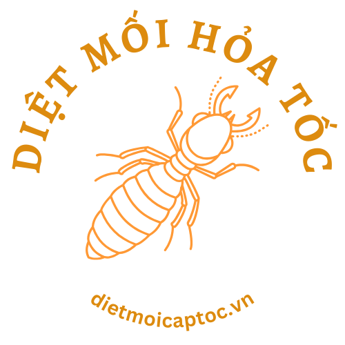dietmoicaptoc.vn